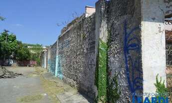 Imagem 6: CASA TÉRREA - BUTANTÃ - SP