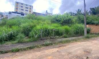 Imagem 2: Terreno à venda no bairro Manoel Corrêa - Conselheiro Lafaiete/MG