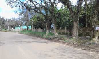 Imagem 3: Porto Alegre - Terreno Padrão - Lomba Do Pinheiro