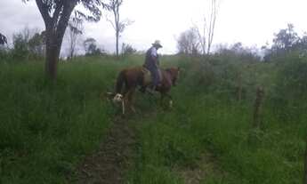 Imagem 4: Vende-se 20 alqueires de Terra um pedaço do Paraiso na terra