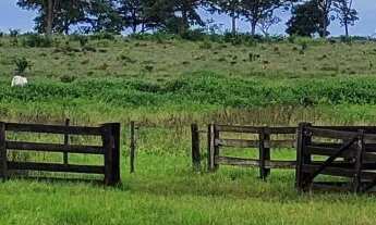 Imagem 3: Fazenda para Agricultura