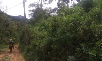 Imagem 3: Vende-se 20 alqueires de Terra um pedaço do Paraiso na terra