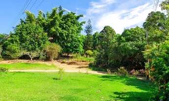 Imagem 4: SÍTIO - MORRO DAS PEDRAS - SP