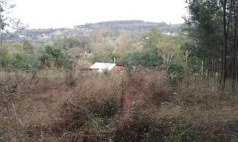 Imagem 3: Chácara troco por casa