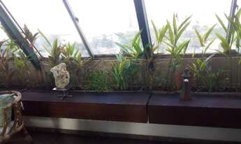 Imagem 7: Excelente coberura -Itaigara