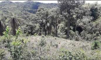 Imagem 4: Vende-se terreno em Macacos-MG á 25 minutos de Belo Horizonte