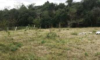 Imagem 3: Vendo chácara em gravatai