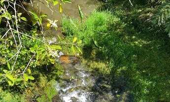 Imagem 6: Chácara com 4 lagos - 20.000 m²