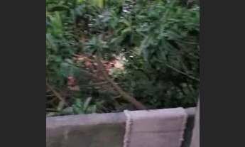 Imagem 2: Venda de Prédio