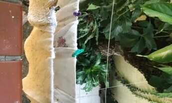 Imagem 5: Apartamento para Venda - 73.26m², 2 dormitórios, Menino Deus