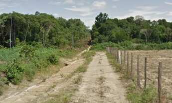 Imagem 3: Lote Grande 100 x 1.000