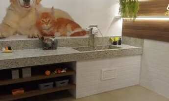 Imagem 6: APARTAMENTO - BOM RETIRO - SP