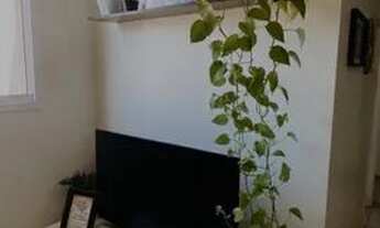 Imagem 2: Alugo apartamento no condomínio Parque dos Sonhos