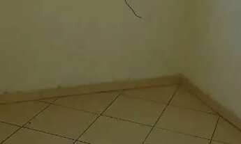 Imagem: Apartamento 2 Quartos