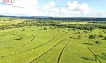 Imagem 5: Fazenda Lavoura para Venda em Paranaíba-MS - 3170