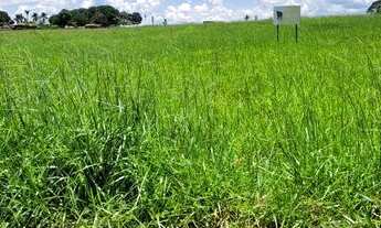 Imagem: Oportunidade Esquina, Sobrado Top, Lote