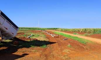 Imagem 5: 1.000m2 Lançamento