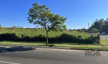 Imagem 7: Terreno em São José