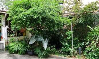 Imagem 4: Santos - Casa Padrão - Aparecida