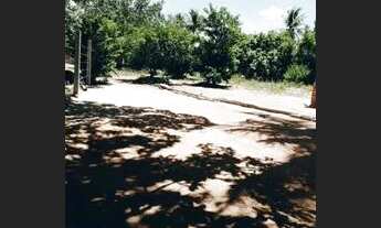 Imagem 2: Terreno povoado lagoinha