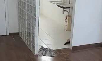 Imagem 6: Aluga-se apartamento