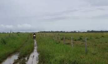 Imagem 3: FAZENDA NO MARANHÃO 11.950 HECTARES
