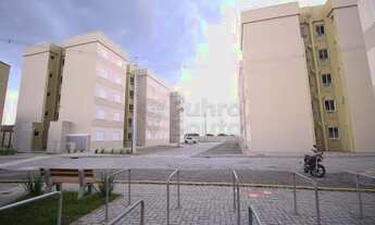 Imagem 4: Apartamento Padrão em Pelotas