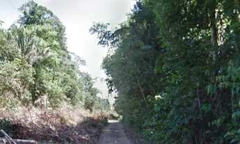 Imagem: Lote Grande 100 x 1.000