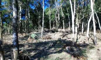 Imagem 6: Excelente área para formar chácara!!!