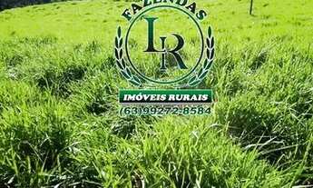 Imagem 2: Chácara 2,5 Alqueires