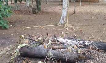 Imagem: /Vendo lote com 800 M2 em Açutuba