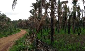 Imagem 2: Área rural à venda, Maranhão Novo, São Luís