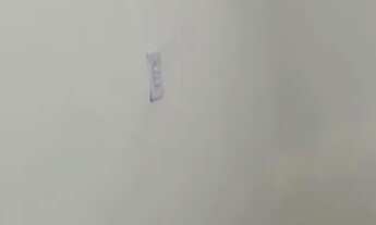 Imagem 2: Peça para depósito ou comércio