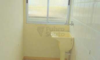 Imagem 5: Apartamento Padrão em Pelotas