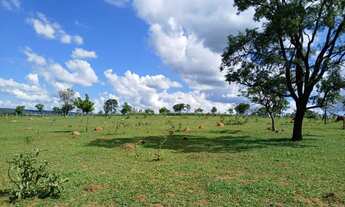 Imagem 5: Chácara DF Planaltina Pedra Fundamental