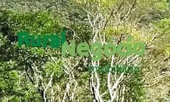 Imagem 3: SÍTIO SEM BENFEITORIAS Á VENDA EM GUARATINGUETÁ-SP