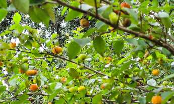 Imagem 4: Vendo Casa em Rua Nobre de Amargosa