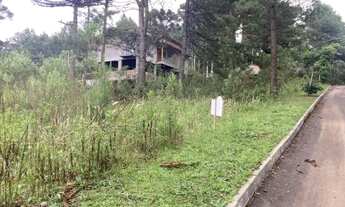 Imagem 7: Terreno - Bairro Dutra