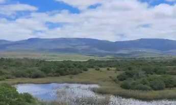 Imagem 6: VENDO FAZENDA NA CHAPADA DIAMANTINA
