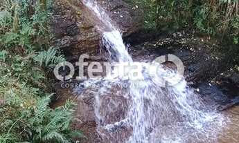 Imagem 7: Fazenda/Terreno na Lapa 22,5 alqueires