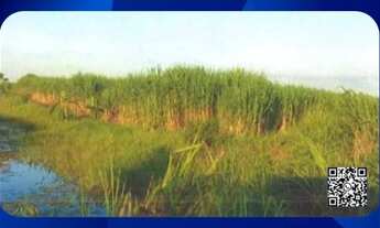 Imagem: IMÓVEIS RURAIS DA AGACÊ SUCROQUIMICA LIMITADA