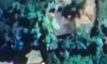 Imagem 2: AREA - JARDIM COLIBRI - SP