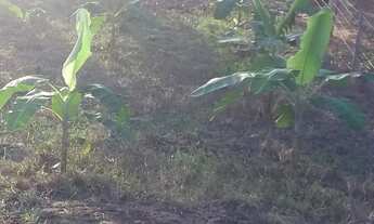 Imagem 7: Lote Exclusivo Beira Rio Cuiabá - Frente à Entrada de Nobres