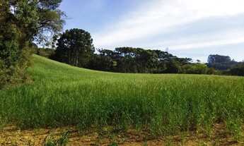 Imagem 4: Imóvel para venda com 21754 metros quadrados em Área Rural de Araucária - Araucária - PR