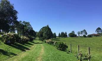Imagem 5: à venda, Planta Entremar, Piraquara, PR