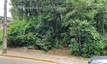 Imagem 2: Terreno - Bairro Moura