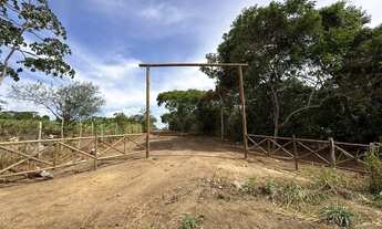 Imagem 2: Lotes para chácara em Oliveira dos Campinhos! 18 km de Feira e 2 da BR 324