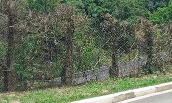 Imagem 3: Chácara á Venda