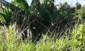 Imagem 6: Lote em Travessa Sapiranga - Recanto Corcunda - Gravataí/RS