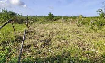 Imagem 3: Vendo ou troco em algo do meu interesse este terreno bairro Santa Cecília